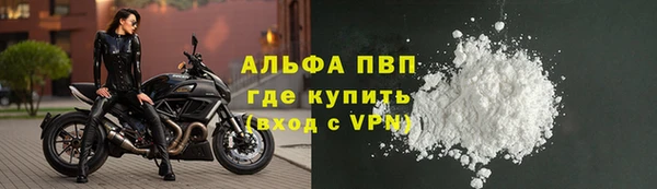 спайс Нея