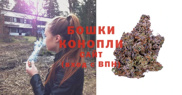 PSILOCYBIN Елизово