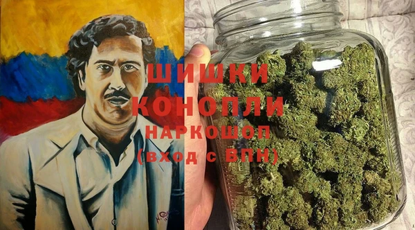 СК Новозыбков